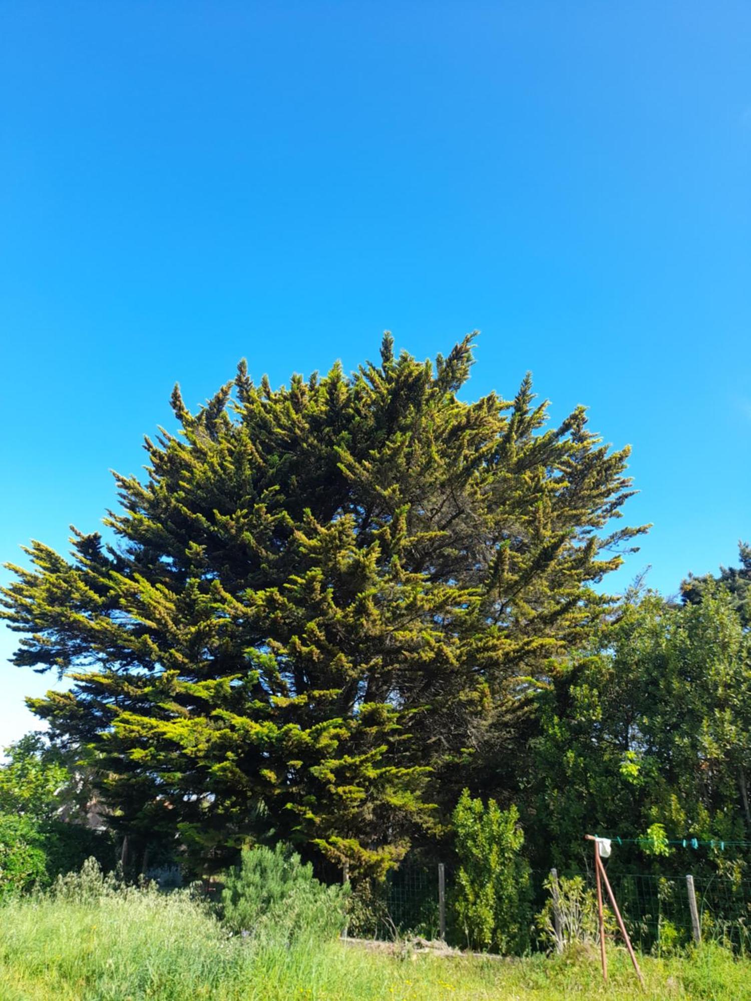 Le Stud' A Saint Pierre D'Oleron ! Apartment Ruang foto